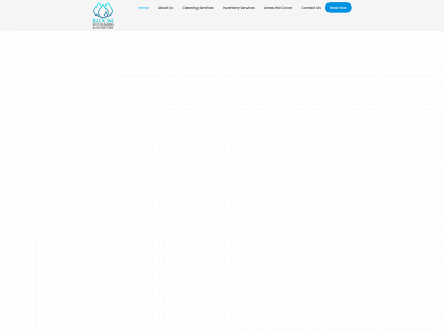bloomecocleaning.com snapshot