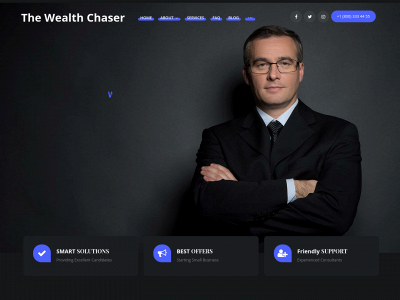 thewealthchaser.com snapshot