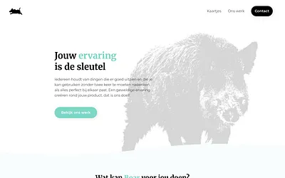 boar.be snapshot