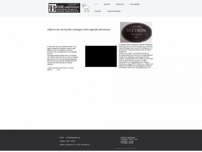begeskinn.se snapshot
