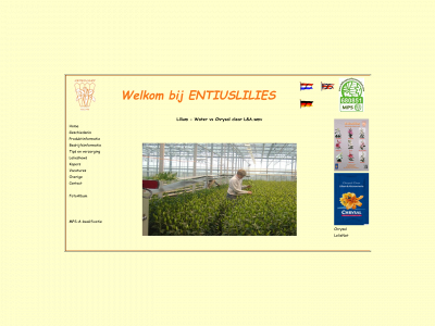 entiuslilies.nl snapshot