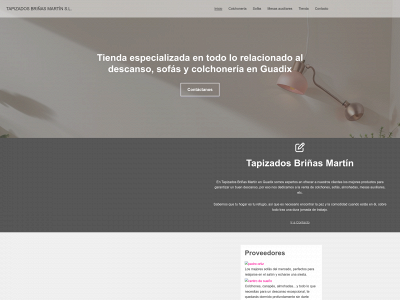 tapizadosbriñasmartin.es snapshot