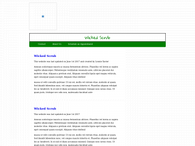 wickedscrub.com snapshot