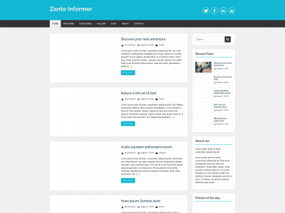 zanteinformer.com snapshot