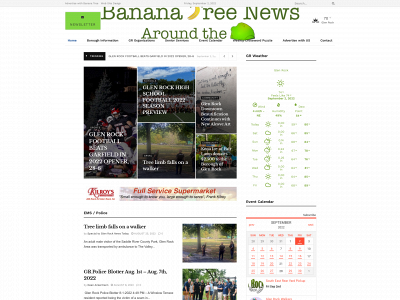 bananatreenews.today snapshot