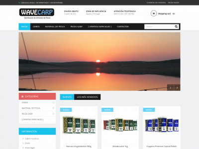 wavecarp.com snapshot