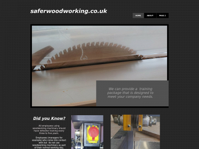 saferwoodworking.co.uk snapshot