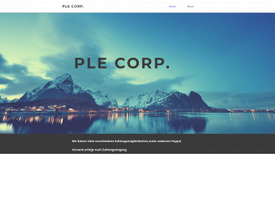 ple-corp.de snapshot