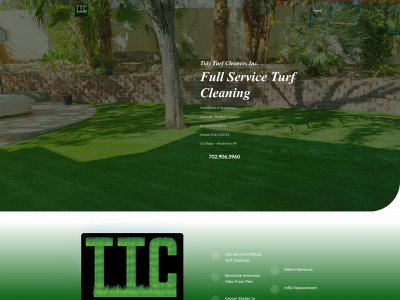 tidyturfcleaners.com snapshot