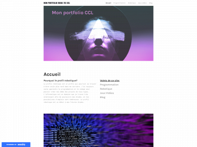 portfolio-alexstp.weebly.com snapshot