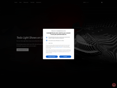teslalightshows.store snapshot