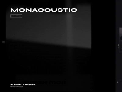 monacoustic.us snapshot