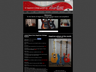 hagstrom-vintage-guitars.se snapshot