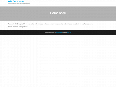 wmenterprise.net snapshot