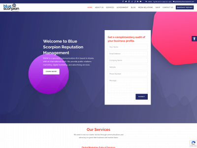 bluescorpionrm.com snapshot
