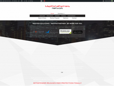 mspportalpartners.net snapshot