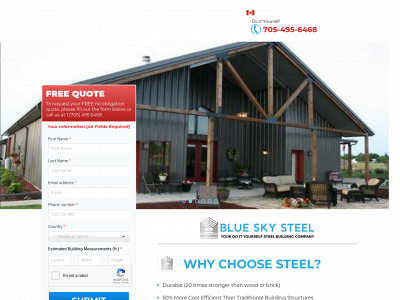 blueskysteel.com snapshot