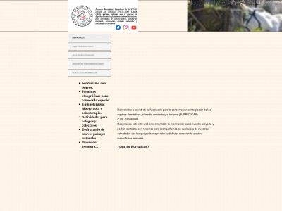 burruticas.com snapshot