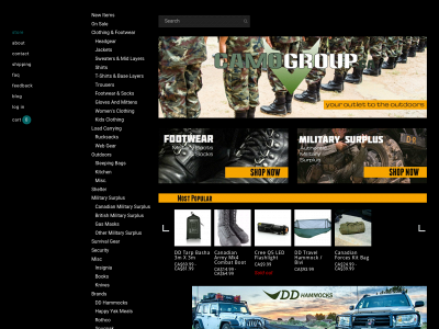 www.camogroup.ca snapshot