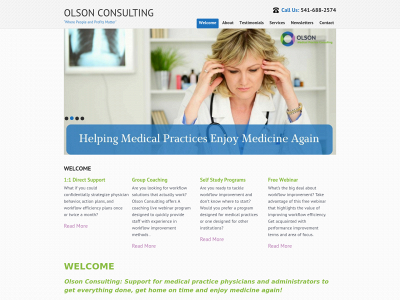 saraolsonconsulting.com snapshot