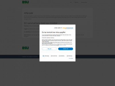 bsuredovisning.se snapshot