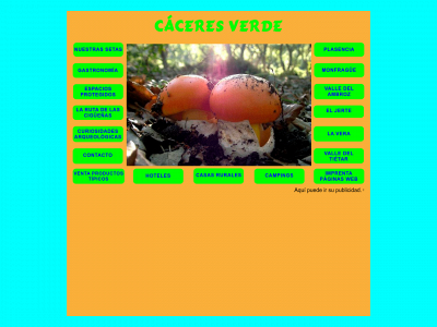 haciaplasencia.es snapshot