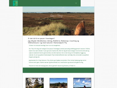 roithy.dk snapshot