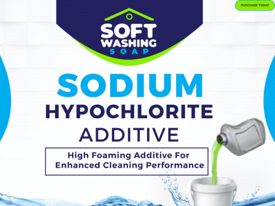 softwashingsoap.com snapshot