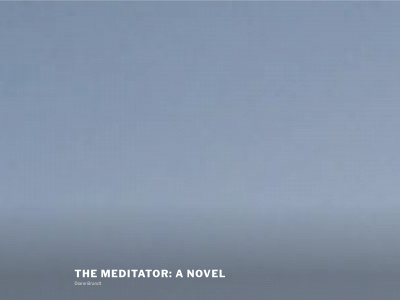 meditationnovel.com snapshot