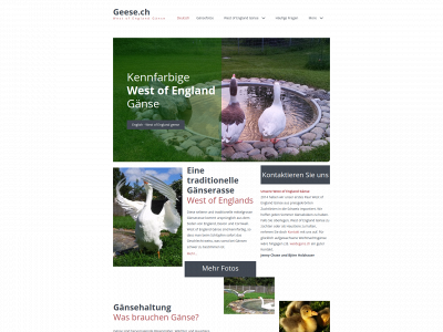 geese.ch snapshot
