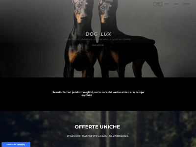 dglux.weebly.com snapshot