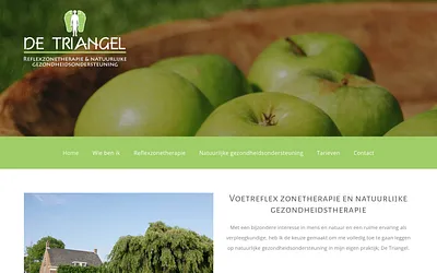 praktijktriangel.nl snapshot