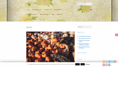thepumpkinriverstore.com snapshot