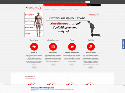 kineziterapija24.lt snapshot