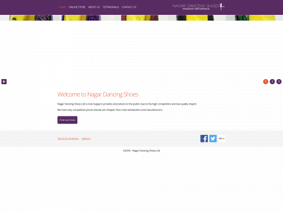 nagardancingshoes.co.uk snapshot