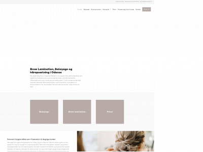 colorlounge.dk snapshot
