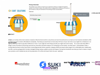 e-cart-solutions.com snapshot
