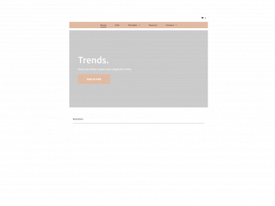 lievjewels.nl snapshot
