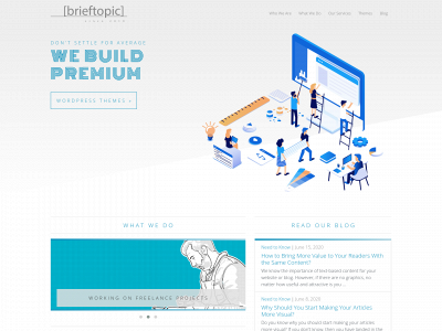 brieftopic.com snapshot