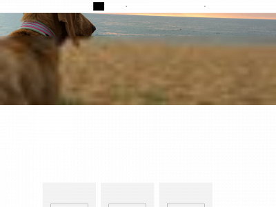 angslyckanfriskvard.se snapshot
