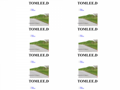 tomlee.dk snapshot