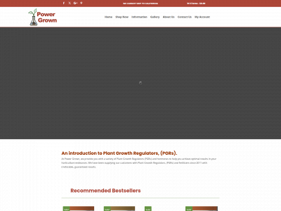 powergrown.biz snapshot