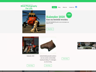 photographingblind.com snapshot