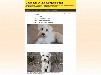 vitschnauzer.se snapshot