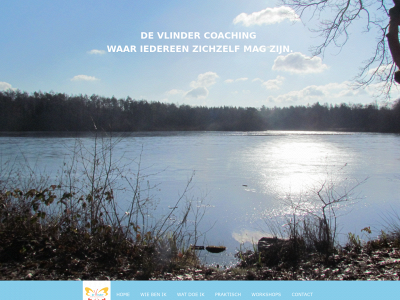 devlinder-coaching.be snapshot