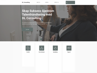 dlconsulting.no snapshot