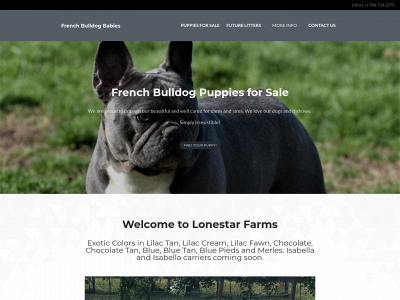 frenchbulldogbabies.com snapshot