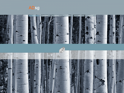 adsg.it snapshot