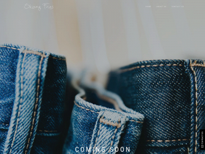 skinnyfriesdenim.com snapshot