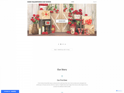 shanicebailey.weebly.com snapshot